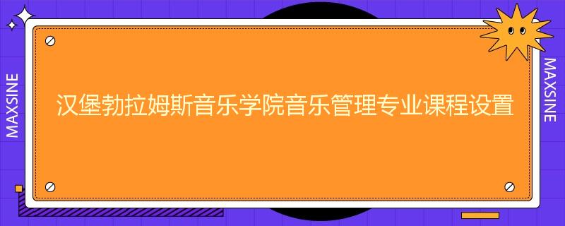 汉堡勃拉姆斯音乐学院音乐管理专业课程设置