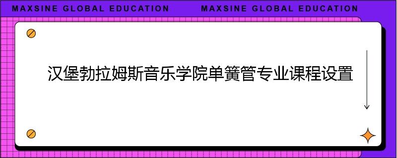 汉堡勃拉姆斯音乐学院单簧管专业课程设置