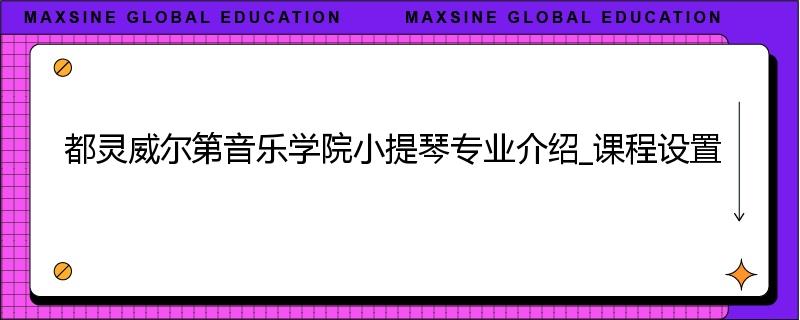 都灵威尔第音乐学院小提琴专业介绍_课程设置